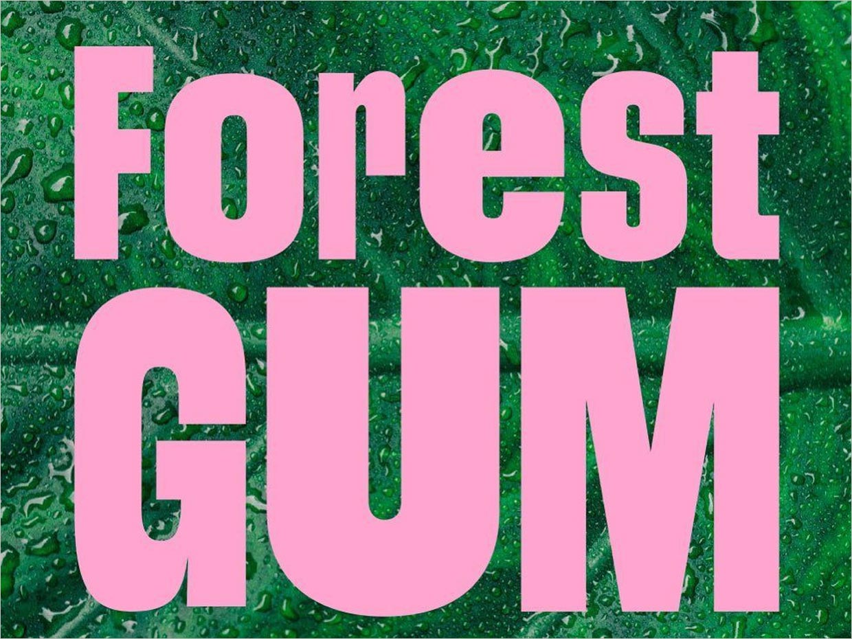 德國Forest Gum天然口香糖logo設(shè)計